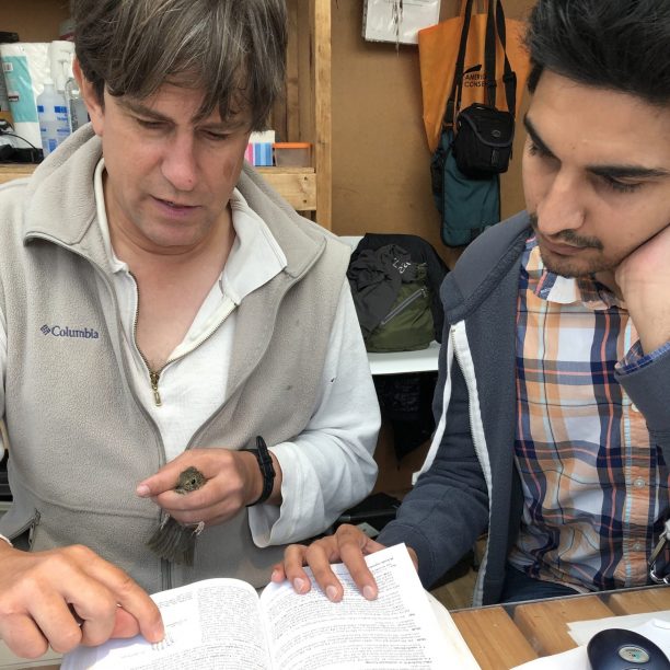DanFroehlich+NisargChaudhari_SWTHemgarinationcheck_Week2_2019_VinciAu a WildResearch scientist and volunteer reading Pyle