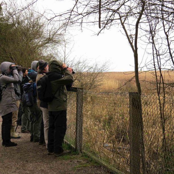 photo-credit_Kevan_Cowcill A group of WildResearch members birding at Reifel Bird Sanctuary
